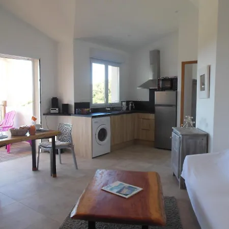 Apartment Tres Belle Vue Et Piscine Chauffee - Baccalocation