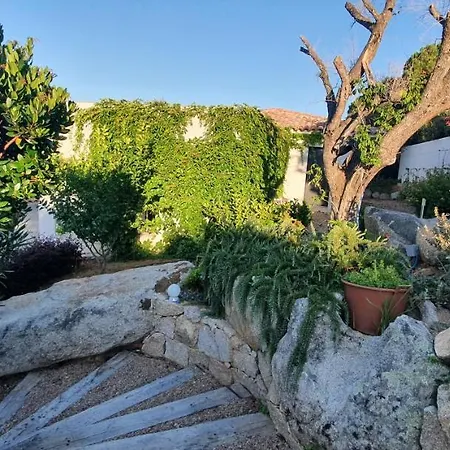 Tres Belle Vue Et Piscine Chauffee - Baccalocation * Porto-Vecchio