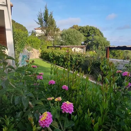 Très Belle Résidence Vue Et Piscine Chauffée - Baccalocation Porto Vecchio