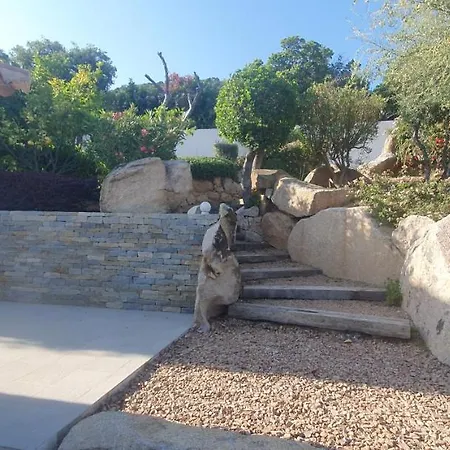 Tres Belle Vue Et Piscine Chauffee - Baccalocation פורטו-וישיו