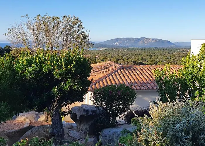 Très Belle Résidence Vue Et Piscine Chauffée - Baccalocation Porto Vecchio
