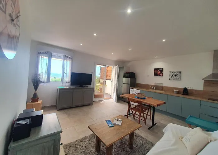 Très Belle Résidence Vue Et Piscine Chauffée - Baccalocation Apartamento *