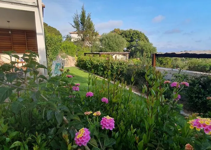 Très Belle Résidence Vue Et Piscine Chauffée - Baccalocation Porto Vecchio