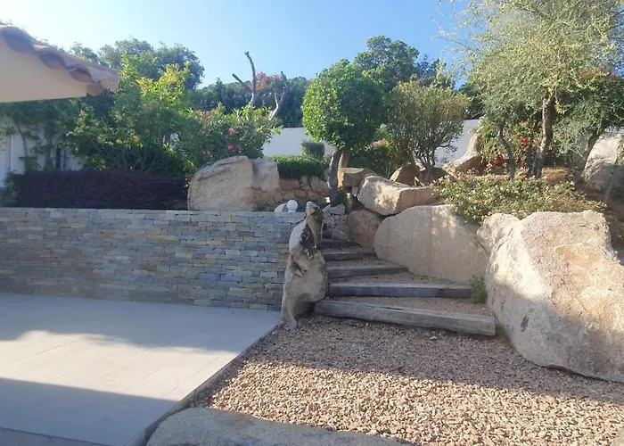 Tres Belle Vue Et Piscine Chauffee - Baccalocation Porto-Vecchio (Corsica)